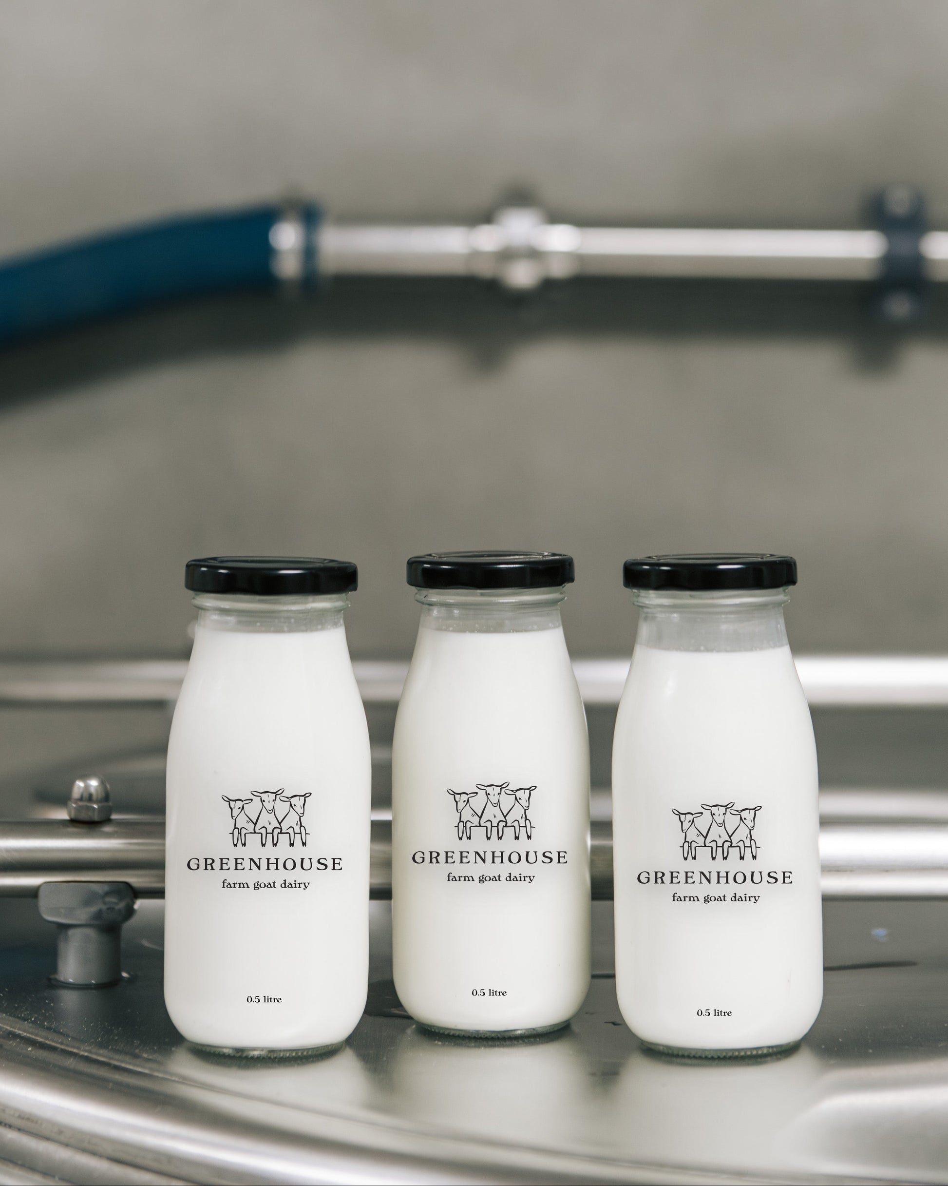 Milk