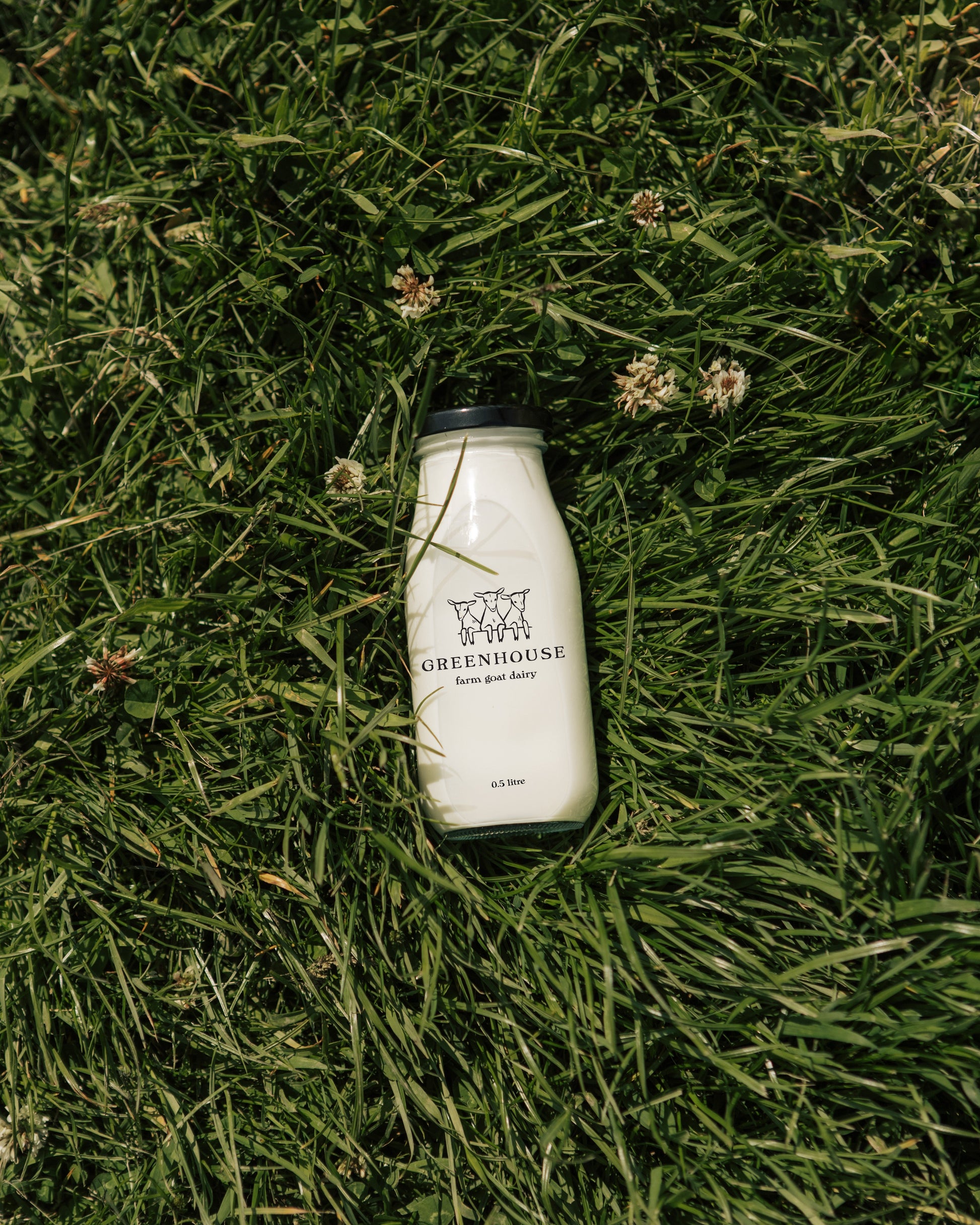 Milk